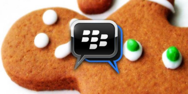 BBM Gingerbread belum Rilis sudah Bocor di Internet